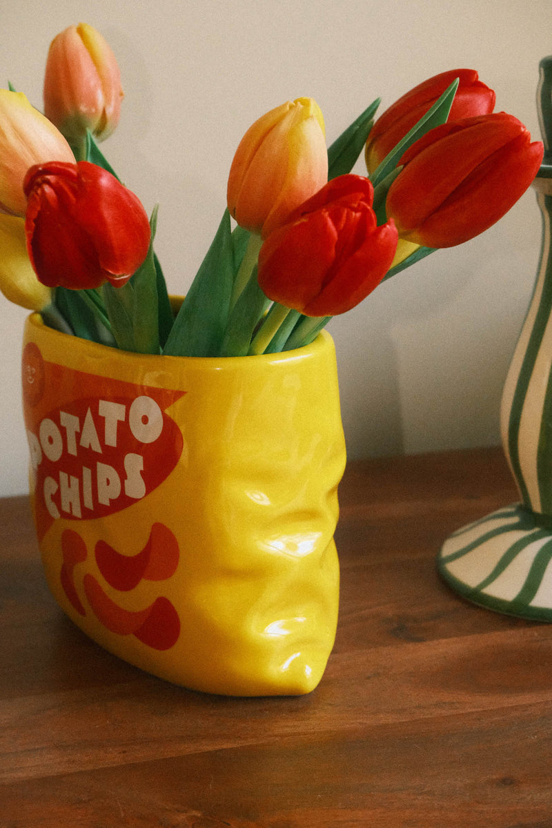 Potato Chips Bag of Crisps Vase