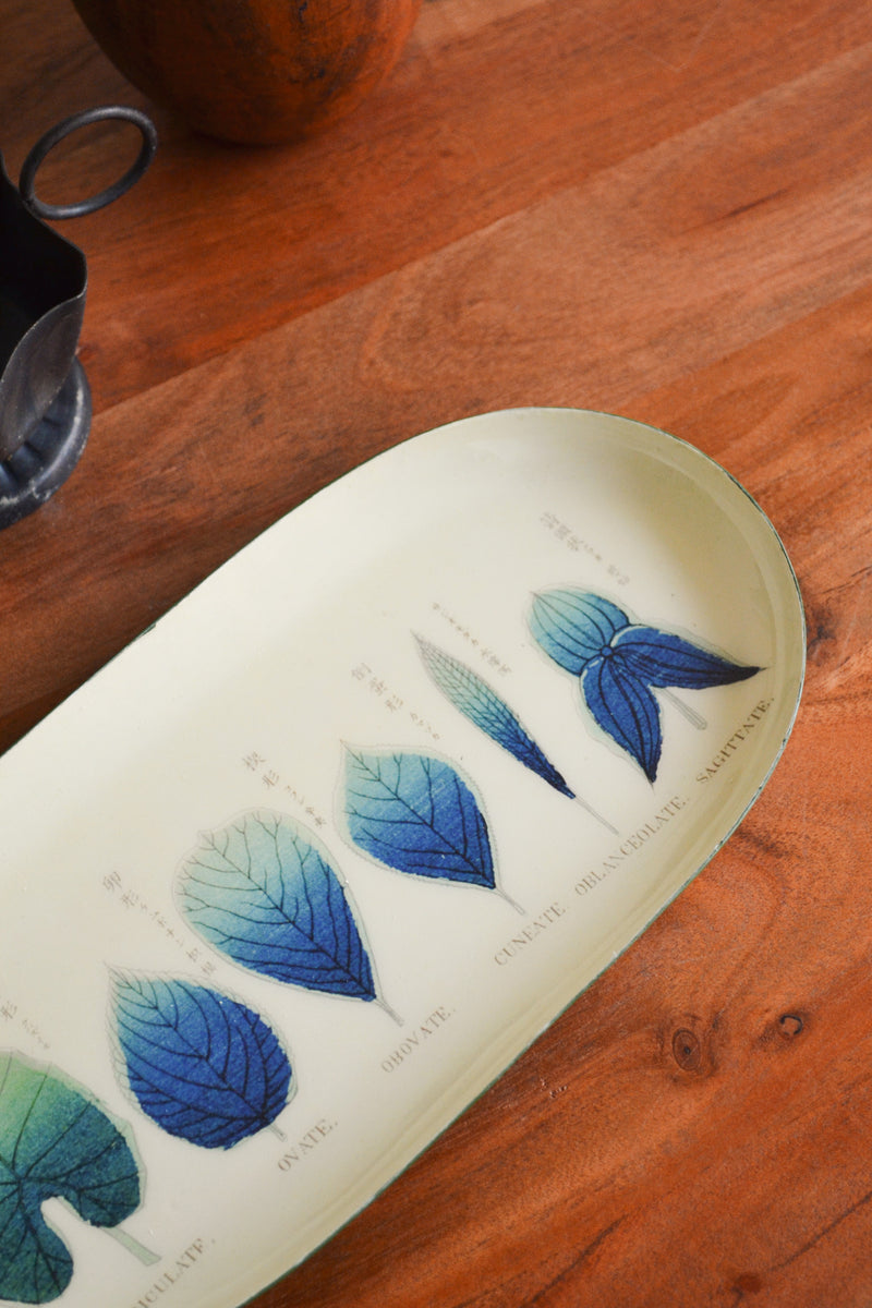 Enamel Printed Trinket Tray - Shapes of Leaves