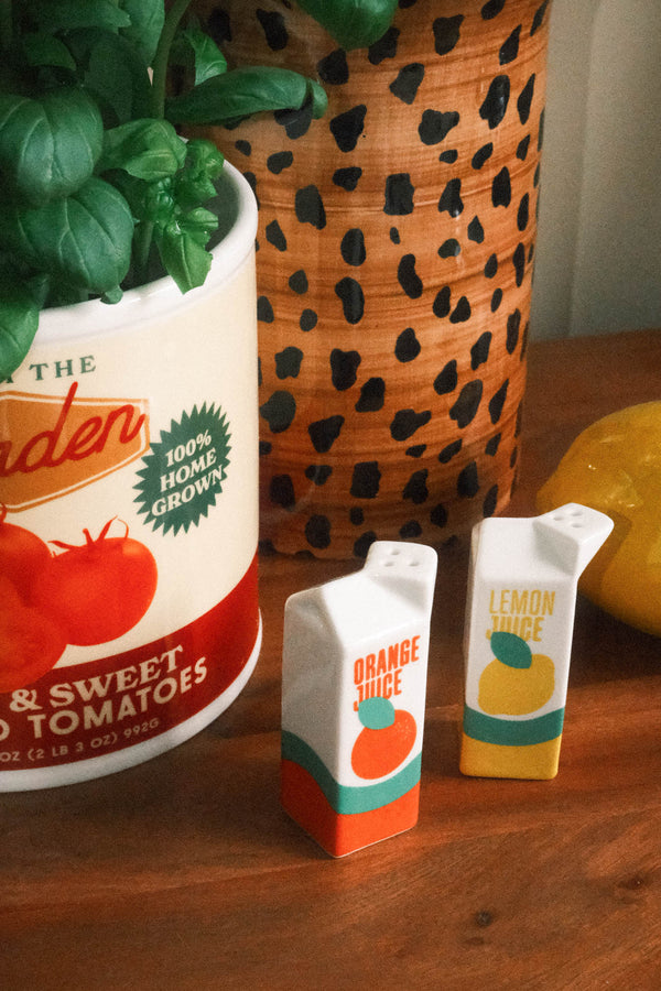 Orange and Lemon Juice Carton Salt and Pepper Shakers