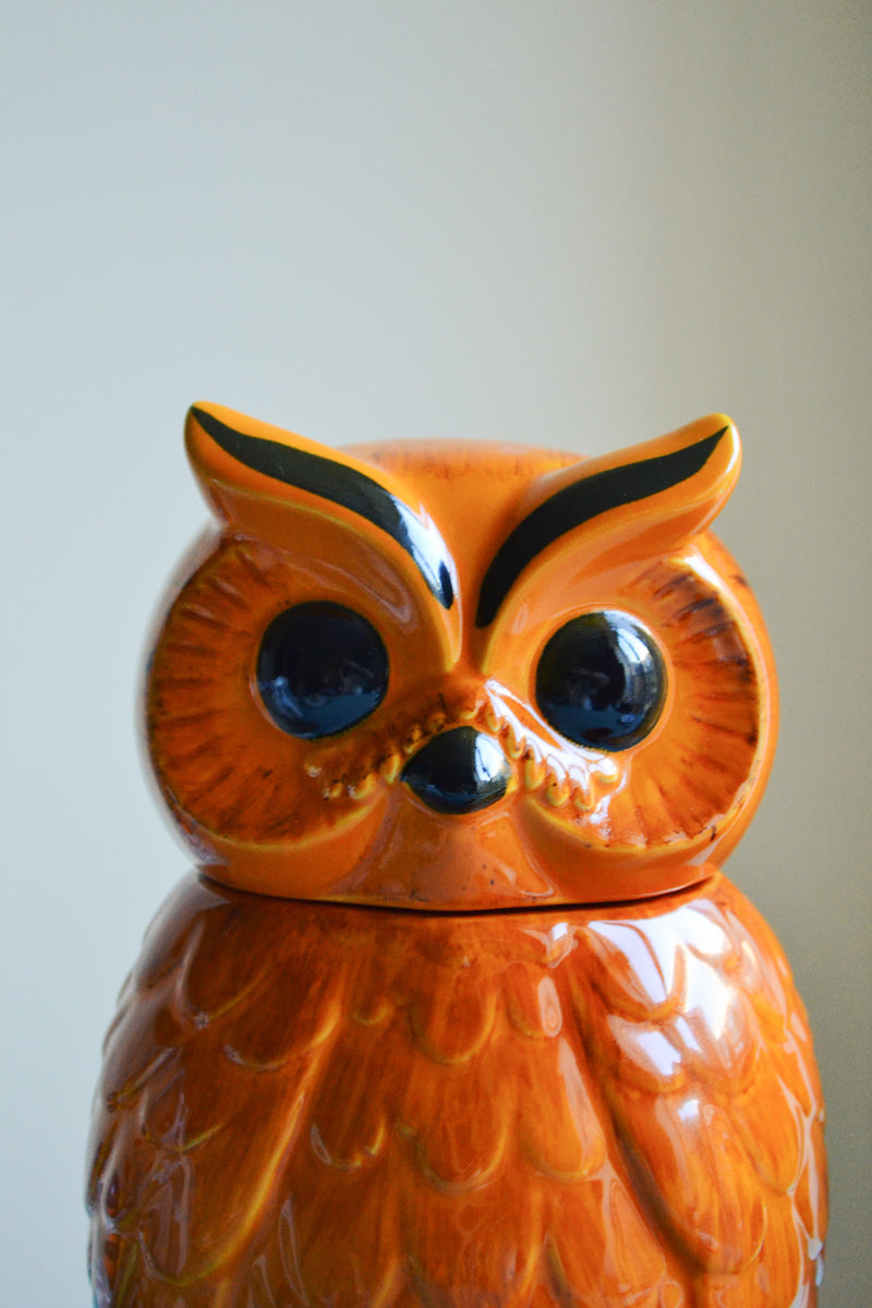 HKLIVING ® | Ceramic Tangerine Owl Jar