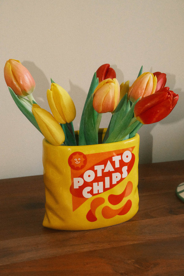 Potato Chips Bag of Crisps Vase