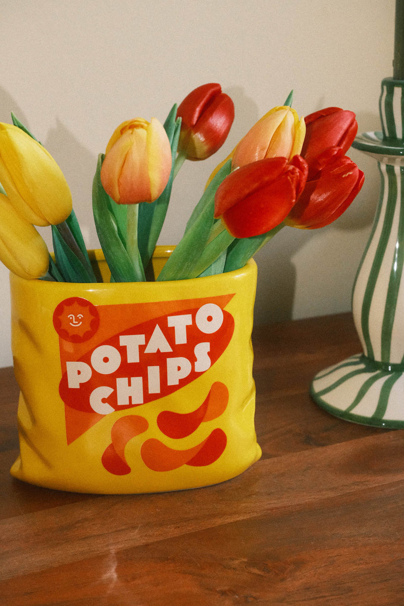 Potato Chips Bag of Crisps Vase